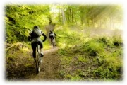 vtt