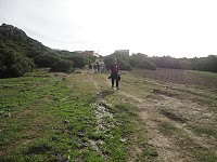 Sadina1