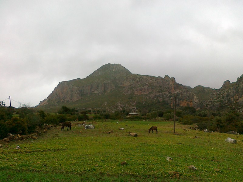 135.jpg