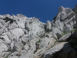 Image00007.jpg